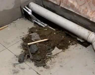 南澳卫生间漏水检测哪家好